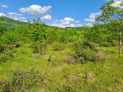 Negresti Oas, Satu Mare Teren 34000 mp
