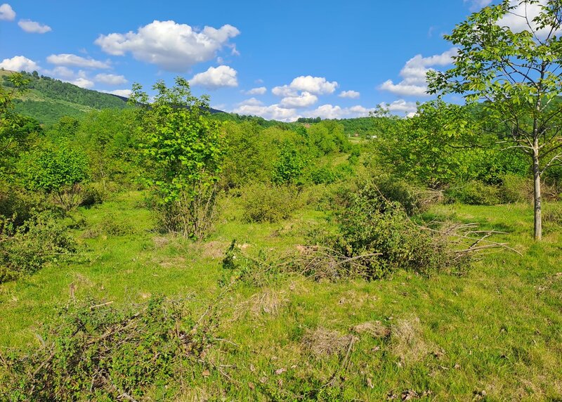 Negresti Oas, Satu Mare Teren 34000 mp,