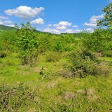 Negresti Oas, Satu Mare Teren 34000 mp